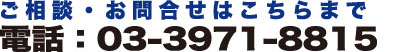 ご相談・お問合せはこちらまで　電話：03--971-8815